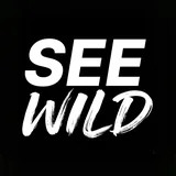 见野科技 SeeWild 标志